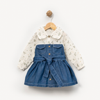 Willow Denim Dress